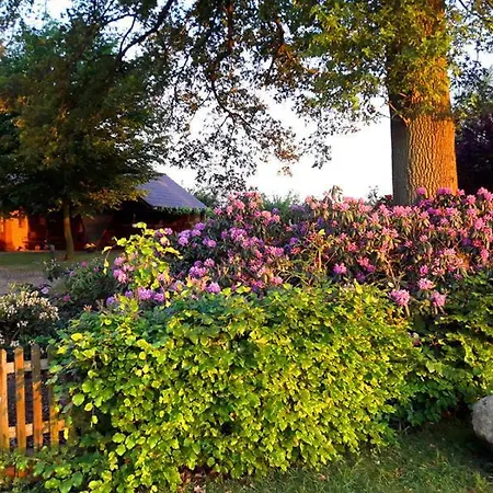 Daire Rehblick Langwedel (Verden)